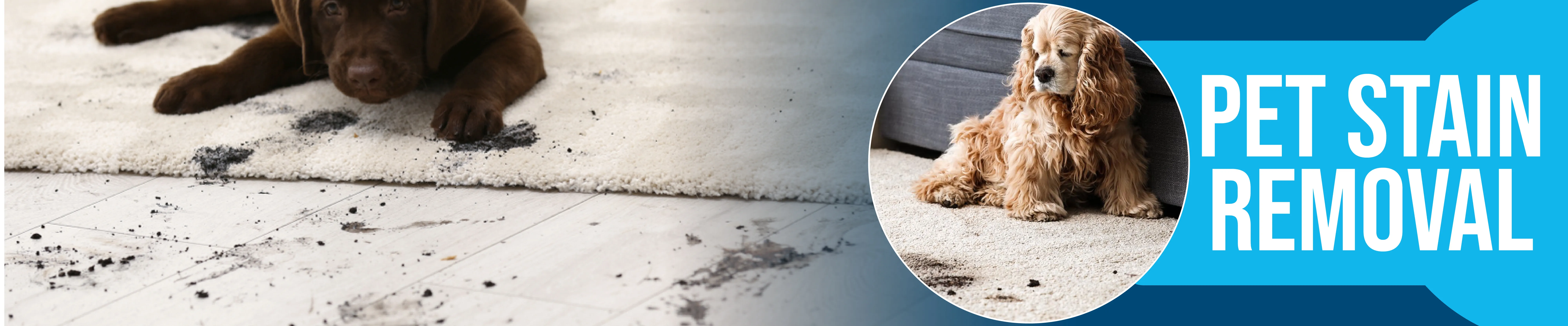 carpet cleaning in manhattan, carpet cleaning manhattan, carpet cleaners in manhattan, carpet cleaners in manhattan, commercial carpet cleaning, commercial carpet cleaning in manhattan, manhattan rug cleaners, rug cleaning services in manhattan, same day carpet cleaning, same day rug cleaning in manhattan