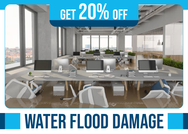 Area Rug Clean Manhattan 20 off on all cleaning services Manhattan