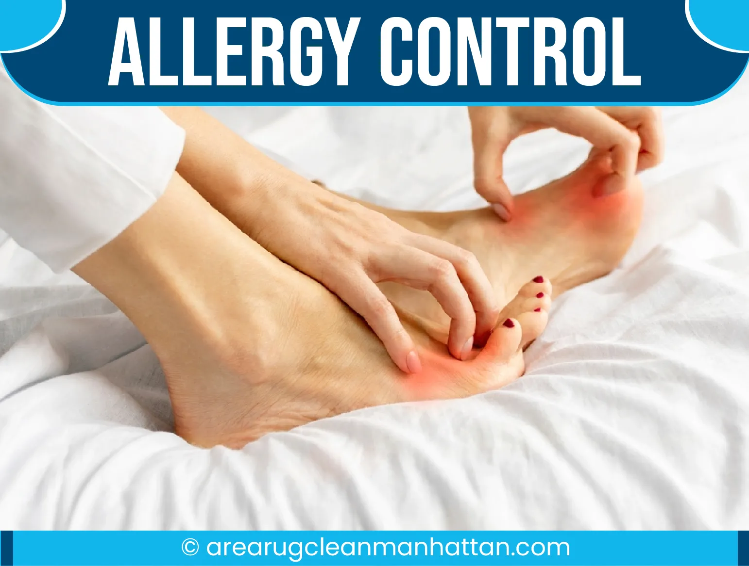 carpet cleaning in manhattan, carpet cleaning manhattan, carpet cleaners in manhattan, carpet cleaners in manhattan, commercial carpet cleaning, commercial carpet cleaning in manhattan, manhattan rug cleaners, rug cleaning services in manhattan, same day carpet cleaning, same day rug cleaning in manhattan