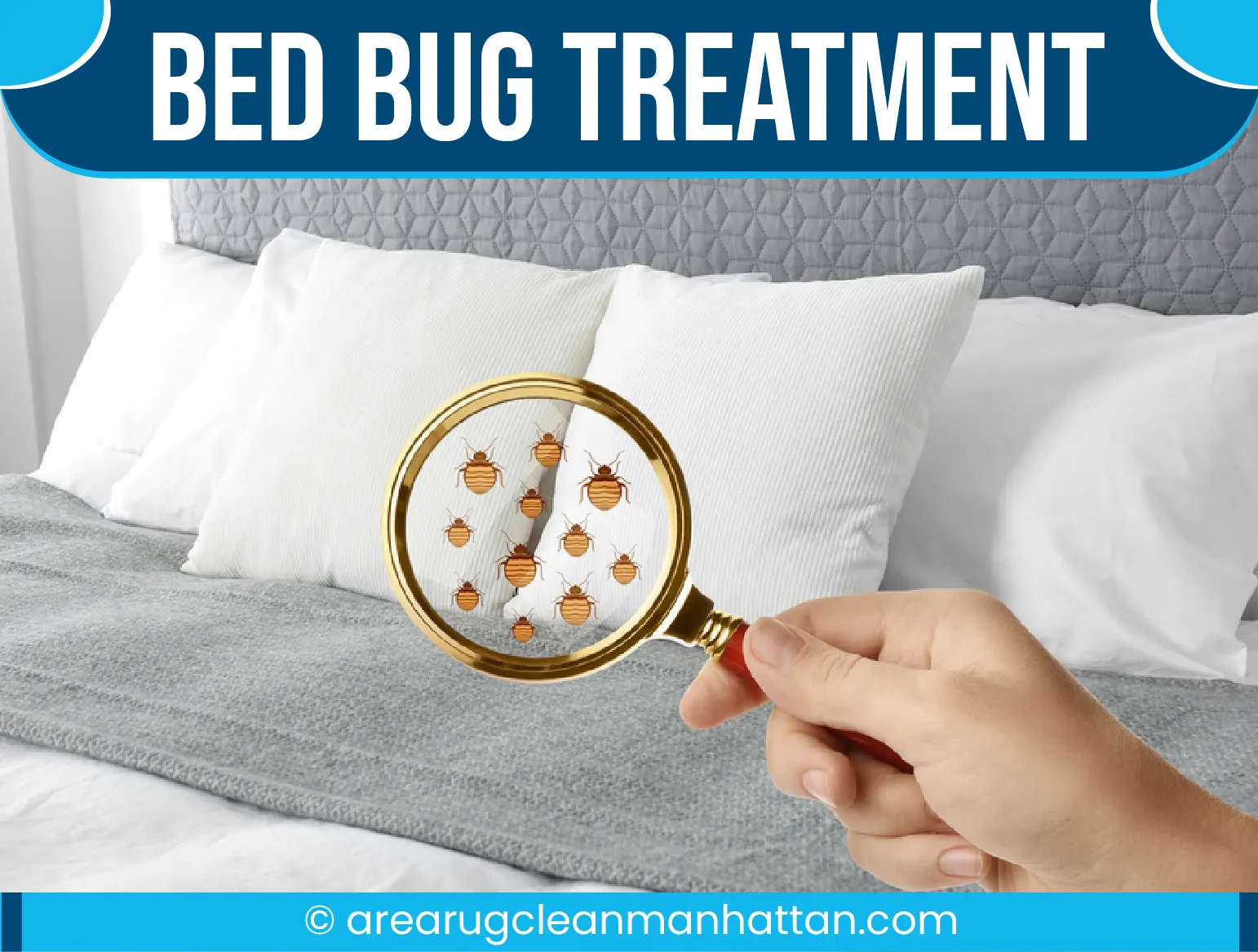 carpet cleaning in manhattan, carpet cleaning manhattan, carpet cleaners in manhattan, carpet cleaners in manhattan, commercial carpet cleaning, commercial carpet cleaning in manhattan, manhattan rug cleaners, rug cleaning services in manhattan, same day carpet cleaning, same day rug cleaning in manhattan