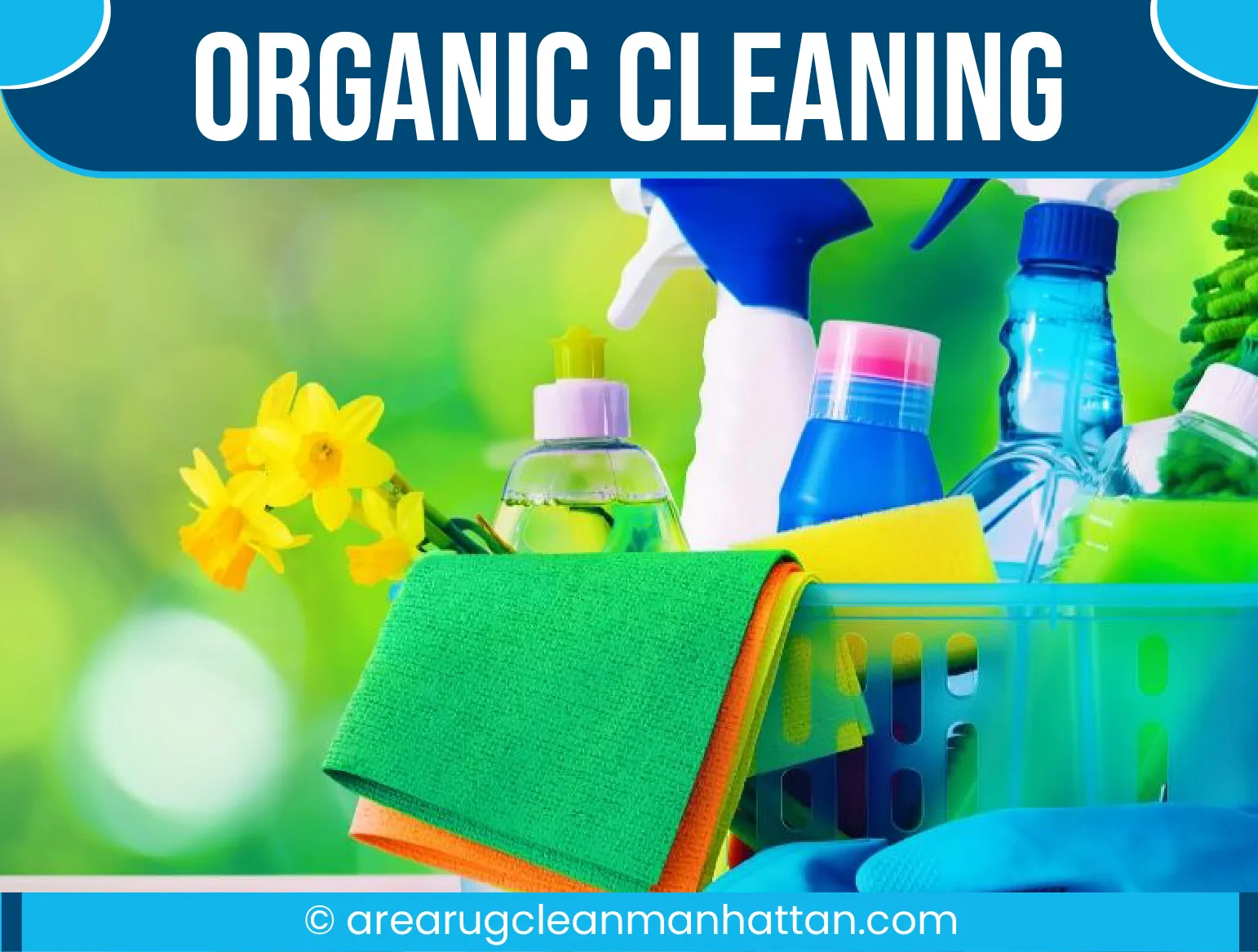 carpet cleaning in manhattan, carpet cleaning manhattan, carpet cleaners in manhattan, carpet cleaners in manhattan, commercial carpet cleaning, commercial carpet cleaning in manhattan, manhattan rug cleaners, rug cleaning services in manhattan, same day carpet cleaning, same day rug cleaning in manhattan