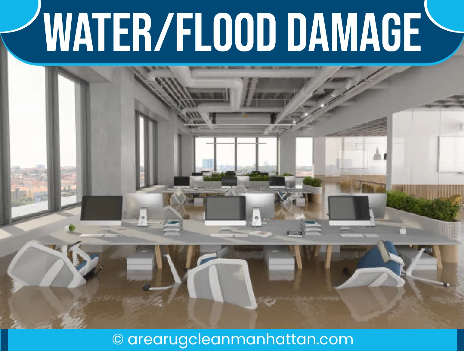 carpet cleaning in manhattan, carpet cleaning manhattan, carpet cleaners in manhattan, carpet cleaners in manhattan, commercial carpet cleaning, commercial carpet cleaning in manhattan, manhattan rug cleaners, rug cleaning services in manhattan, same day carpet cleaning, same day rug cleaning in manhattan